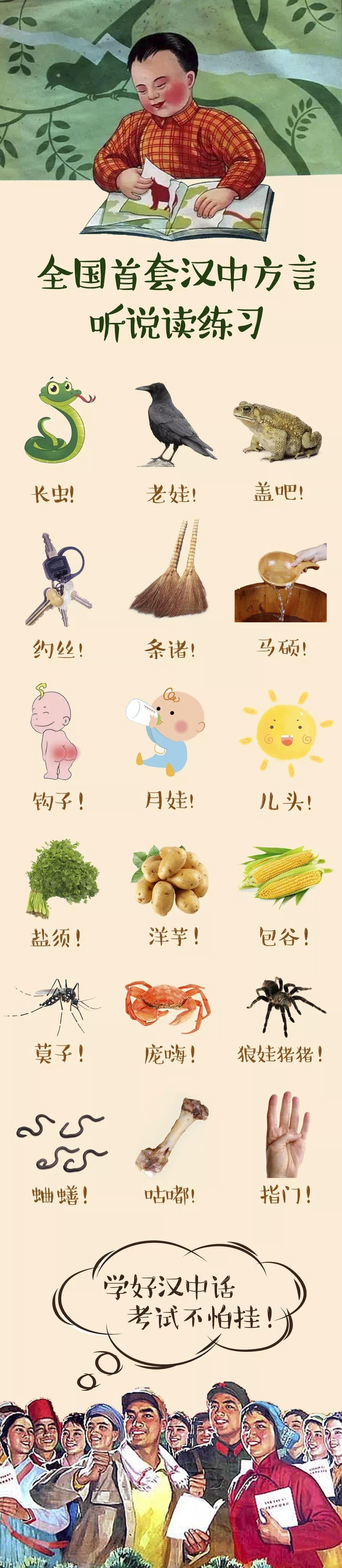 土豆用方言在你们哪里叫什么？