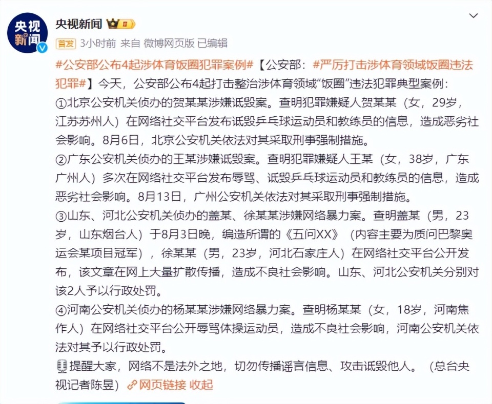 潘宏有刑事犯罪记录，深度探究与解析