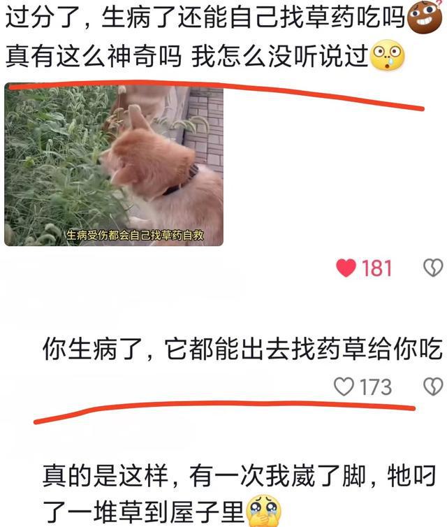 你可以永远相信老祖宗的审美