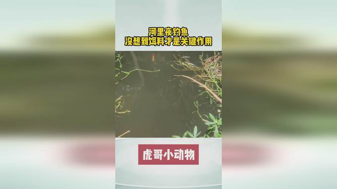 娱乐生活 第231页