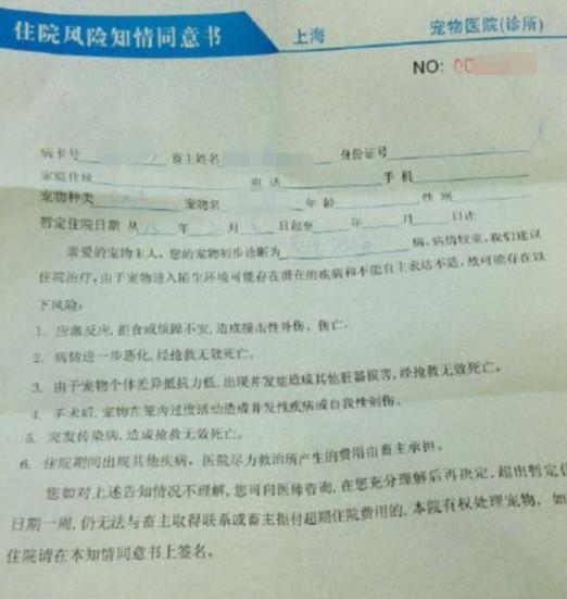 监控下的思念，男子在春节监控中泪目，一年内父母离世引发深思