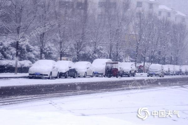 新一轮雨雪即将上线