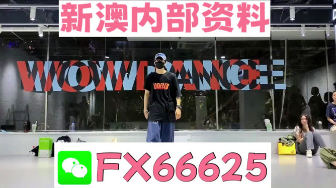 新澳门2024年资料大全管家婆_T41.630——挑战与机遇的平衡