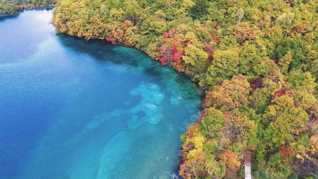 九寨沟景区40岁以上免门票？假的