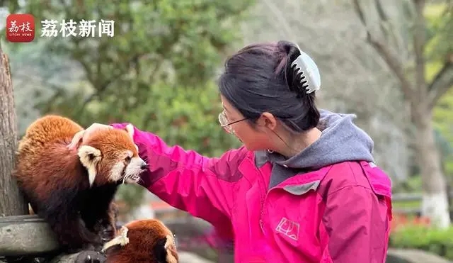 剑桥硕士放弃高薪，甘愿做动物园饲养员！本人回应爆出惊人真相！