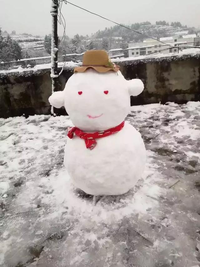 浙江人实现一户一雪人