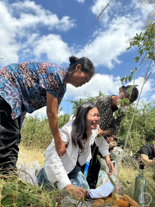 杨妞花的泪与梦，一个被拐家庭的揪心故事，更多家庭何时能团圆？