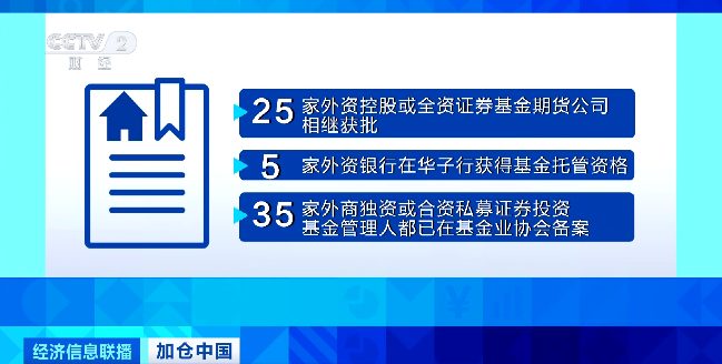 惊爆！香港马买马网站www、资料解释、创新版81.503揭秘，背后竟藏如此玄机！