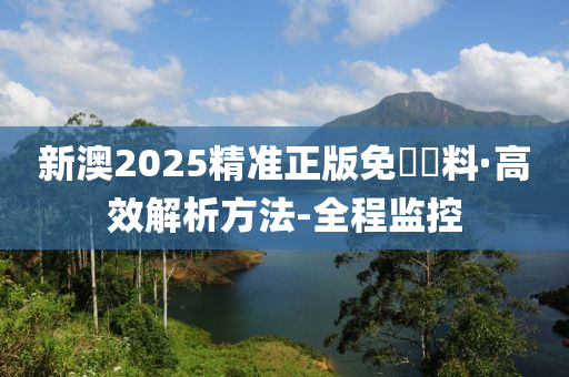 新澳2025年精准正版资料