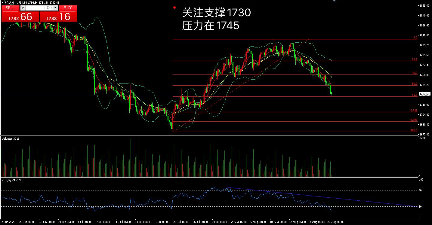 金价深夜下跌 未来还会继续涨吗